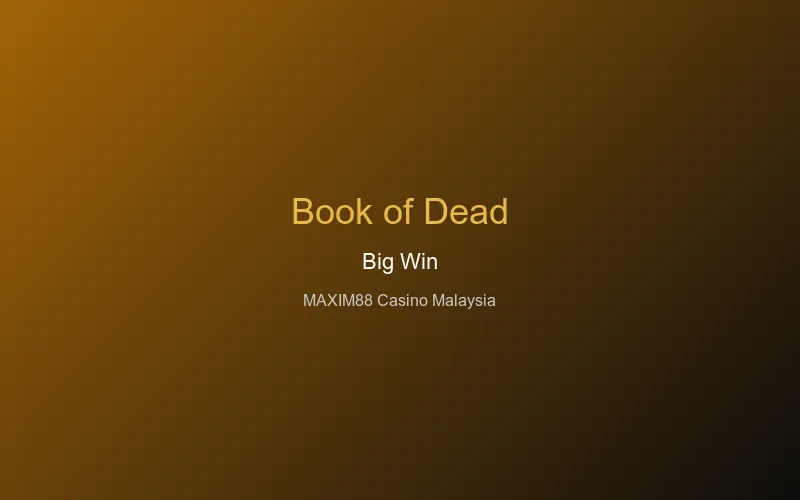 Book of Dead big win