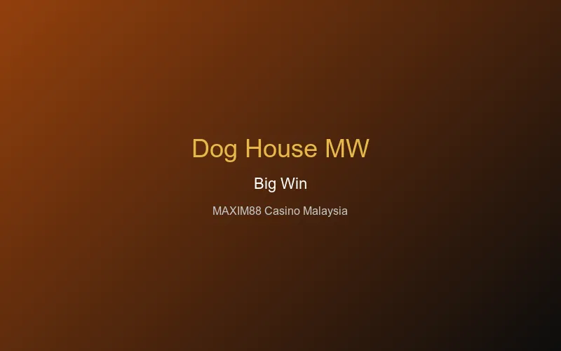The Dog House Megaways big win